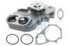 LASO 20200015 Water Pump